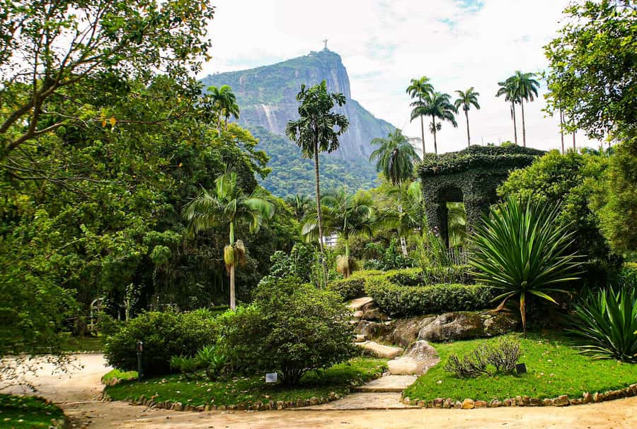 Jeep'n'Green: Rio Botanical Garden & Tijuca Rainforest Tour - Rio Botanical Garden: 1808 roots and 6,000 plant species