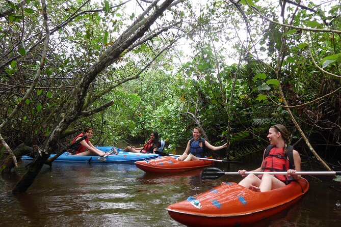 Kayaking Mangroves tour ( Natural Reserve ) - What to do before you go, and what to expect while paddling