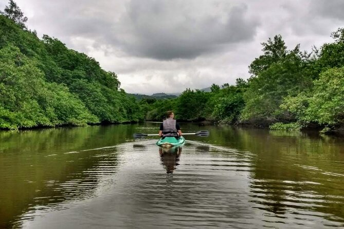 Kayaking to the mangroves - Key moments that make this tour worth it