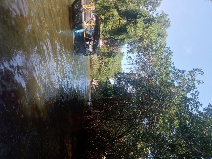 Pantanal of Rio de Janeiro - Who this Pantanal of Rio de Janeiro tour fits best