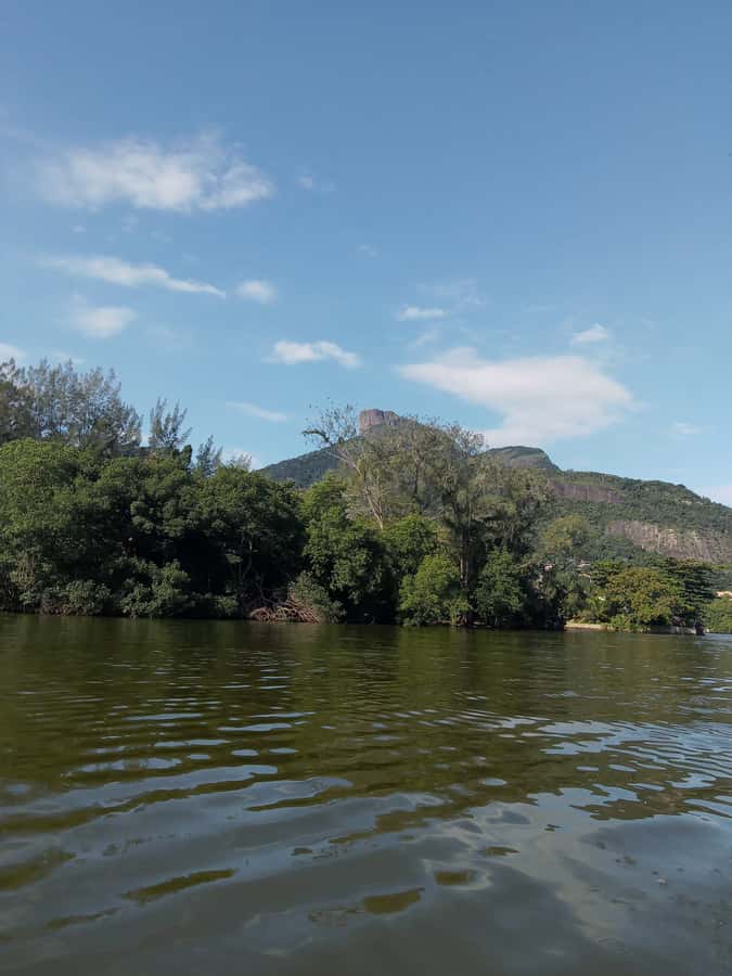 Pantanal of Rio de Janeiro - Boat ride through the archipelago, where you look for caimans