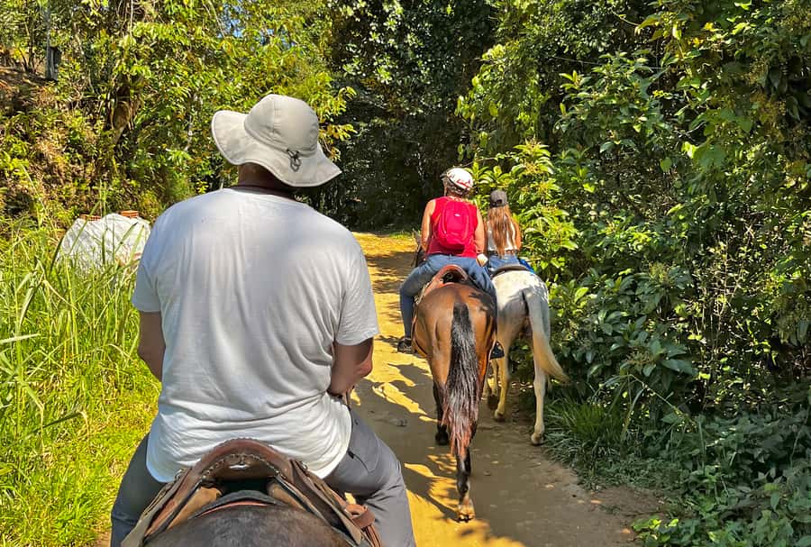 Paraty: 3-Hour Rainforest Horseback Ride - Key Takeaways Before You Ride