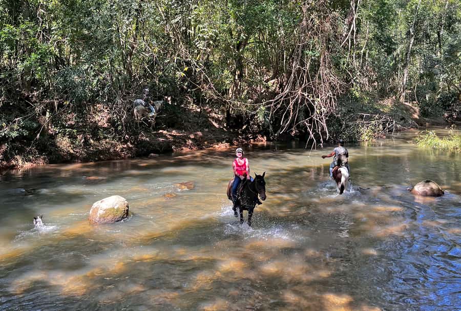 Paraty: 3-Hour Rainforest Horseback Ride - From Av. Roberto Silveira to Pedras Azuis: how the tour actually starts
