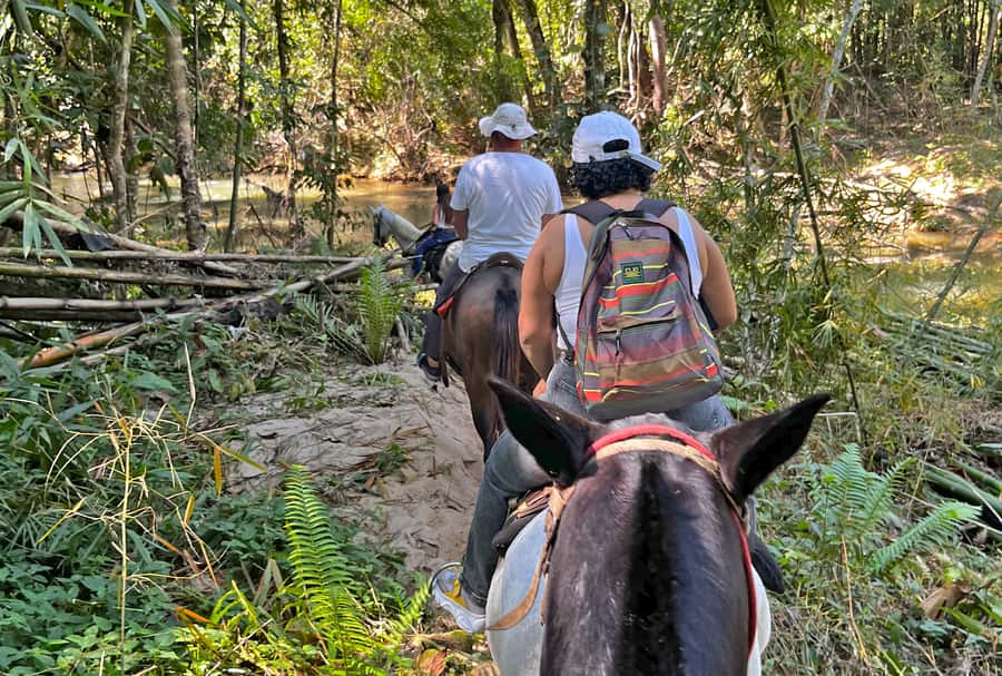 Paraty: 3-Hour Rainforest Horseback Ride - Paraty Bay viewpoints: getting your bearings from the saddle