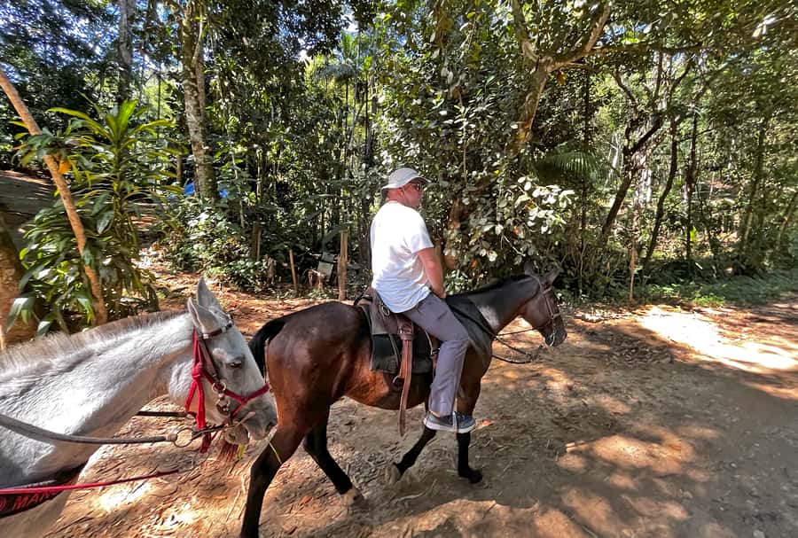 Paraty: 3-Hour Rainforest Horseback Ride - What the $120 price includes, and where you need to spend extra