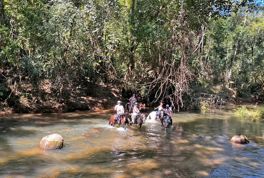 Paraty: 3-Hour Rainforest Horseback Ride - Group size of up to 8: why this matters on a horse