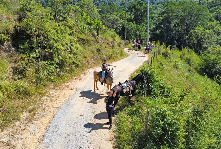Paraty: 3-Hour Rainforest Horseback Ride - Who this Paraty horseback ride suits best