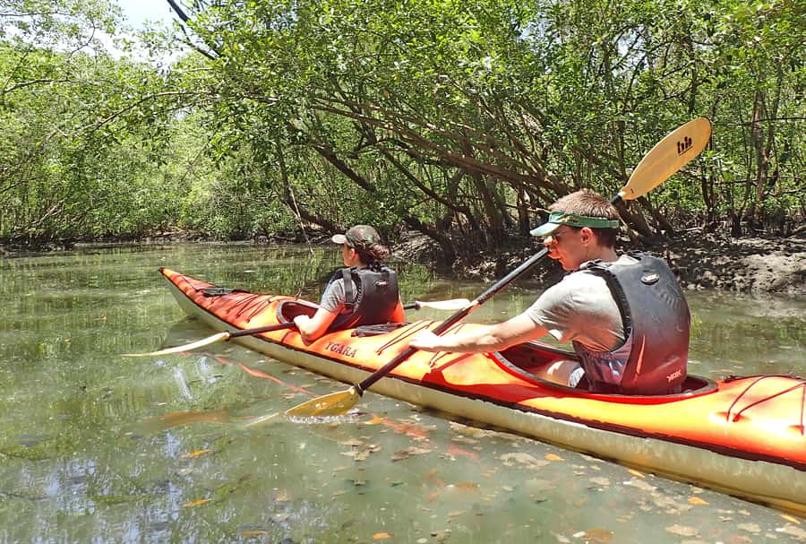 Paraty Bay: Half-Day Mangroves and Beaches Tour by Kayak - Calm bay paddling between islands, with breaks that actually help