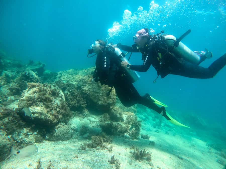 Paraty: Discovery Scuba Diving Experience for Beginners - Before you go: a Paraty logistics checklist that saves stress