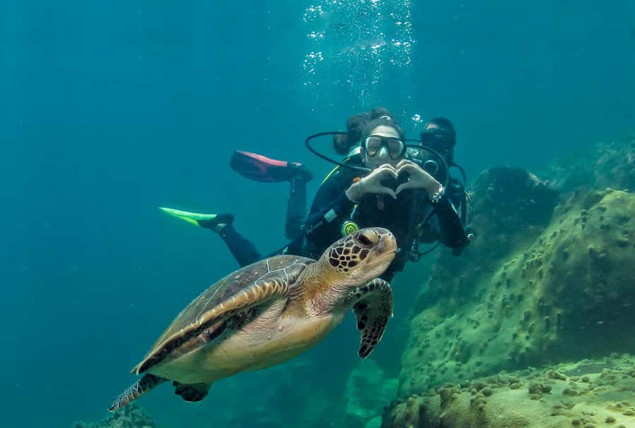 Paraty: Discovery Scuba Diving Experience for Beginners - Paraty’s Costa Verde water: why beginners feel at ease