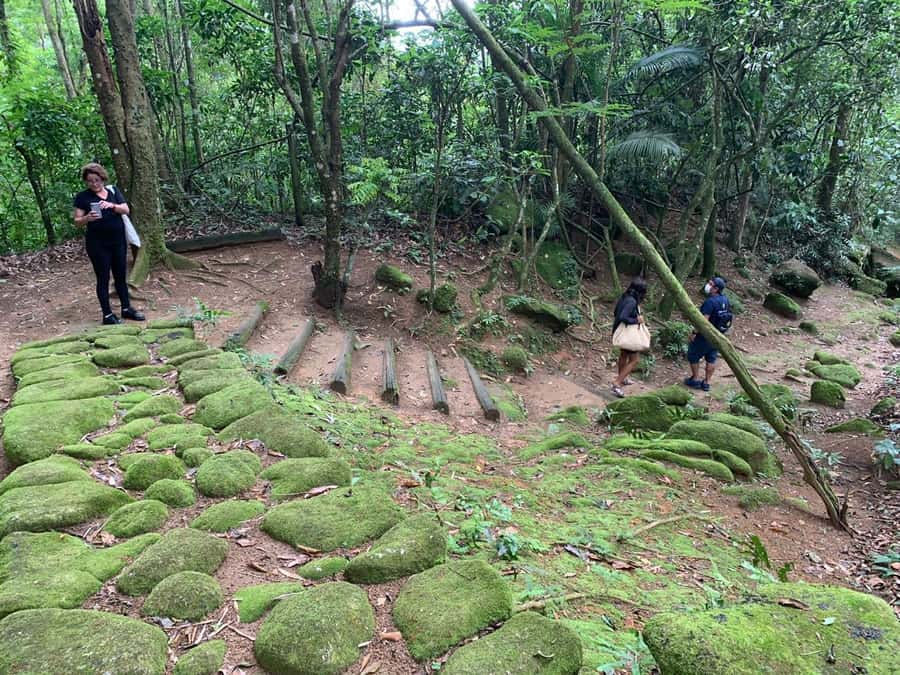 Paraty: Gold Trail Rainforest Hiking Tour - Who Should Book This Paraty Gold Trail Tour, and Who Should Skip It
