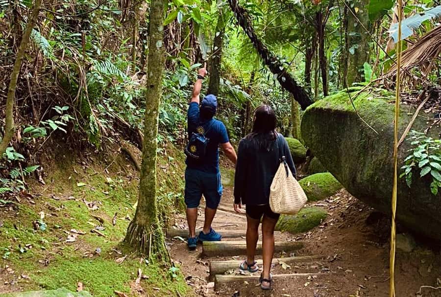 Paraty: Gold Trail Rainforest Hiking Tour - The 3.6 km Gold Trail in Serra da Bocaina National Park