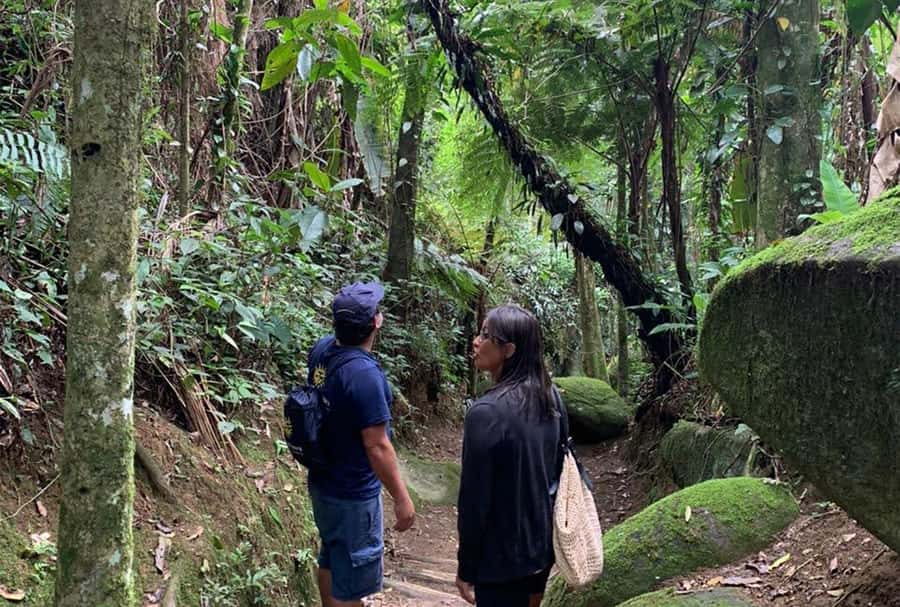 Paraty: Gold Trail Rainforest Hiking Tour - Gold, Slaves, and Donkeys, and How the Route Linked Cities