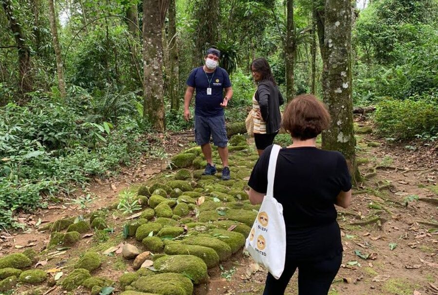 Paraty: Gold Trail Rainforest Hiking Tour - Atlantic Forest Fauna and Flora, With Guide-Driven Plant Spotting