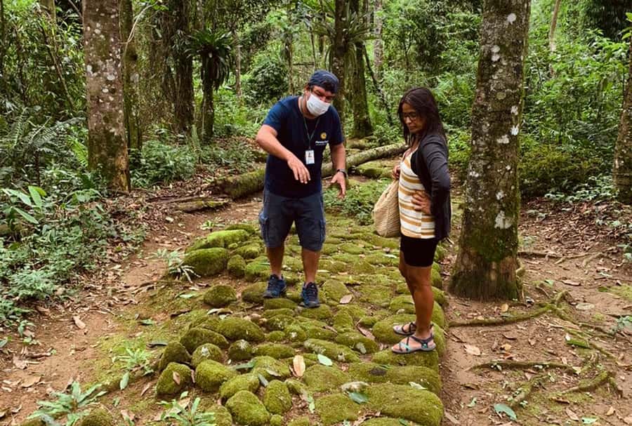 Paraty: Gold Trail Rainforest Hiking Tour - Optional Tobogã Waterfall and Engenho do DOuro in Vila do Penha