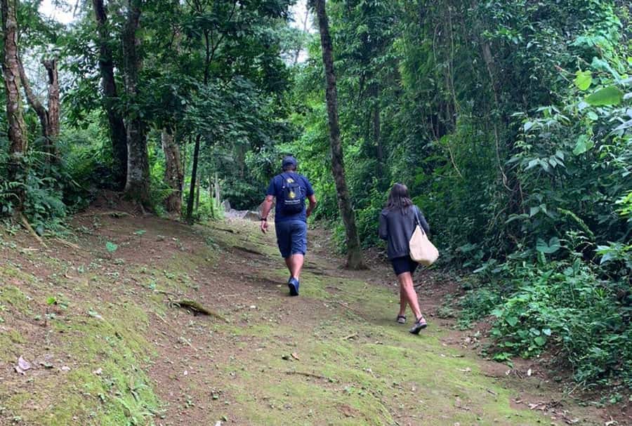 Paraty: Gold Trail Rainforest Hiking Tour - What to Pack for a Medium-Level Hike (and Why It Matters Here)