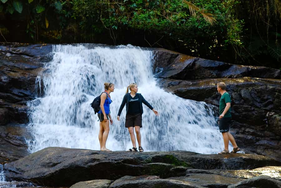 Paraty: Jungle Waterfalls and Cachaça Distillery Jeep Tour - Pedra Branca Waterfall: a rainforest hike that earns its photos