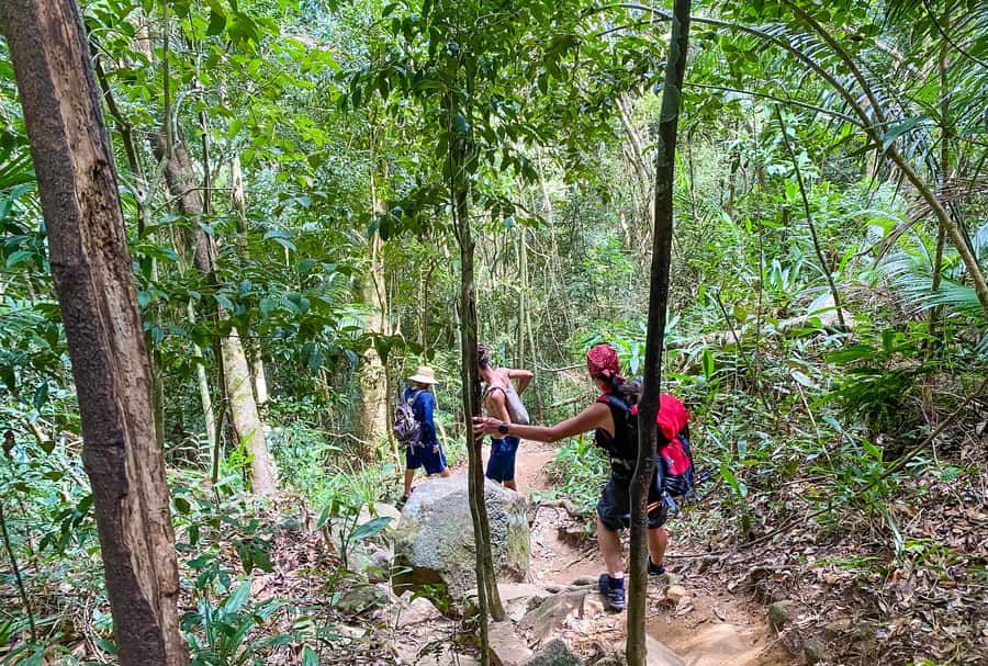 Paraty: Pão de Açucar Peak Trekking and Hiking Tour - Key Points You’ll Care About