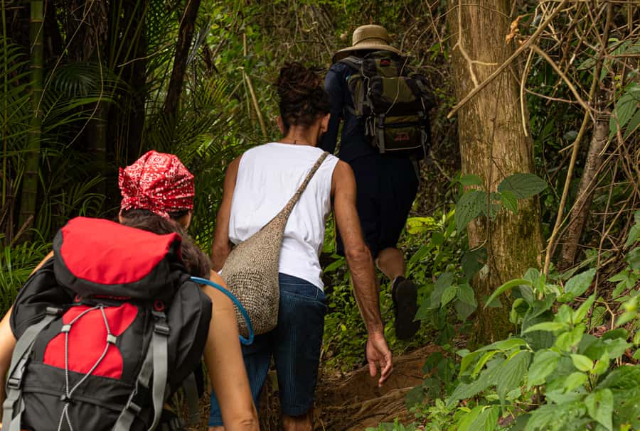 Paraty: Pão de Açucar Peak Trekking and Hiking Tour - The $115 Price, and Whether It’s Worth It