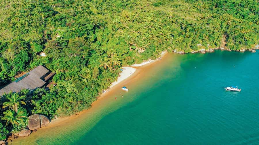Paraty: Saco do Mamanguá Speedboat Tour - The Pico do Pão de Açúcar Trail: Worth It, But Only If You Time It Right
