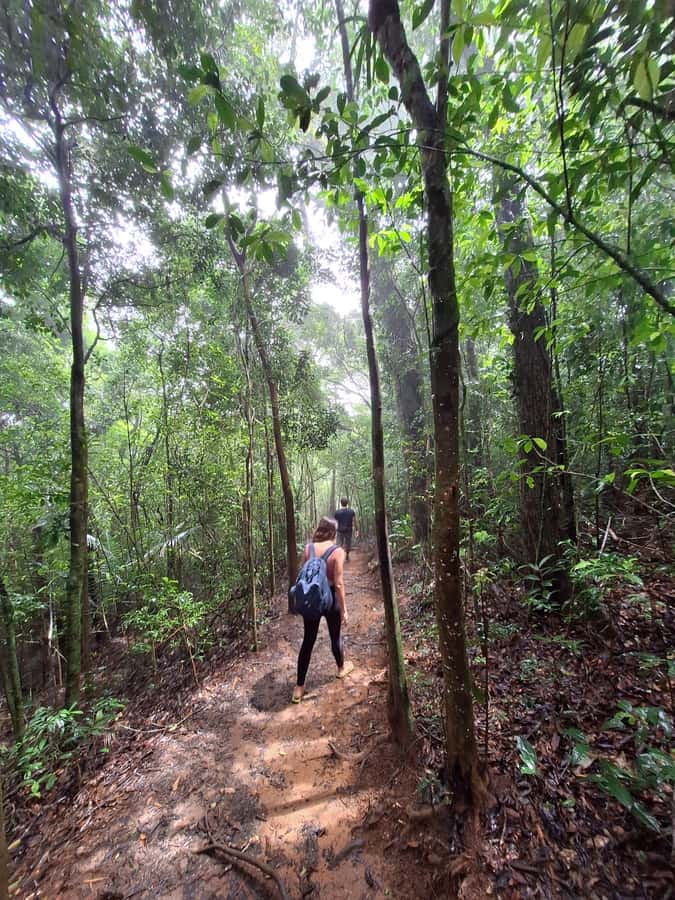 Pedra Bonita Trail: The easiest trail with a beautiful view of Rio - Getting there the easy way: why you should arrange a transfer