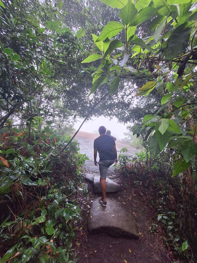 Pedra Bonita Trail: The easiest trail with a beautiful view of Rio - Rules you should know before you go