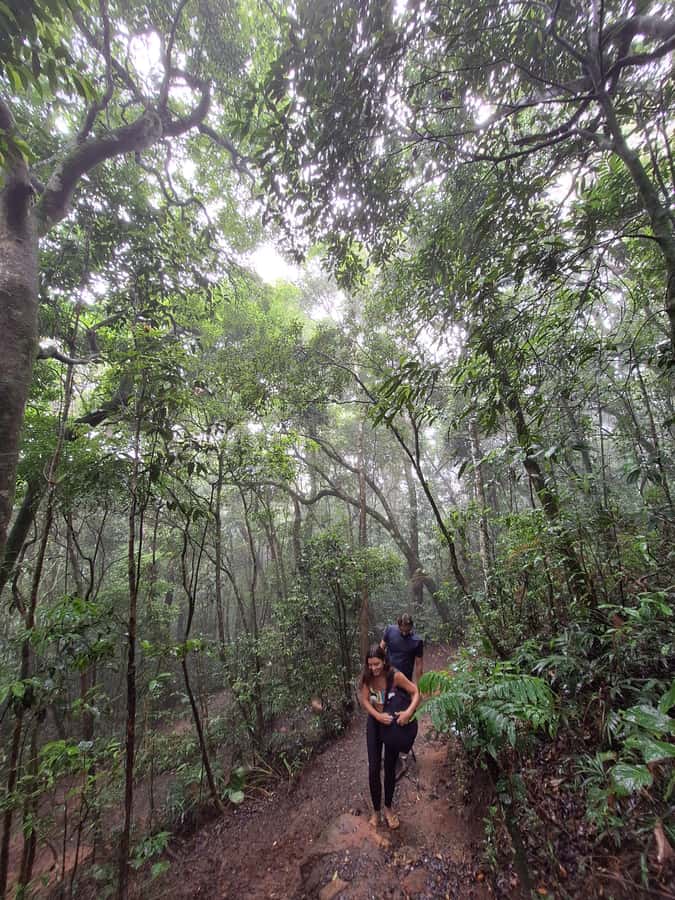 Pedra Bonita Trail: The easiest trail with a beautiful view of Rio - Who this hike is not for
