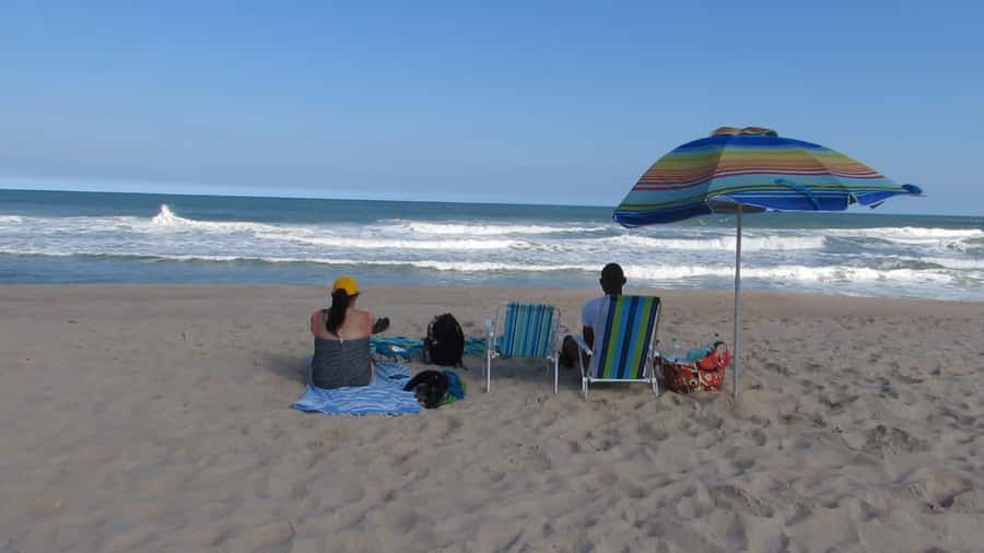 Pedra do Telégrafo Hike and Beach Full-Day Tour - Who should book this (and who should consider another plan)