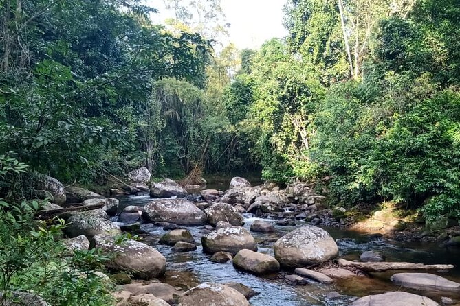 Private Bike Tour in Paraty - Key highlights before you go