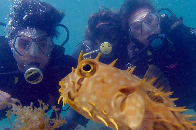 Private Program for Accredited Diver in Búzios - Equipment and the Pre-Water Check That Makes You Relax