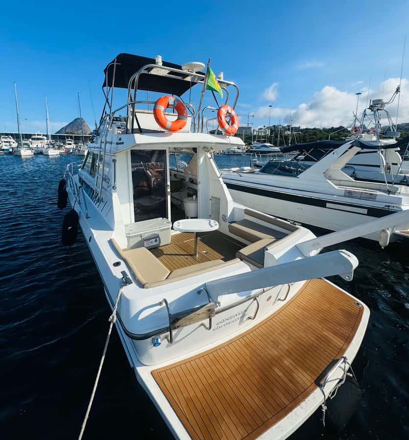 Private speedboat tour in Rio de Janeiro - Key things you’ll notice right away