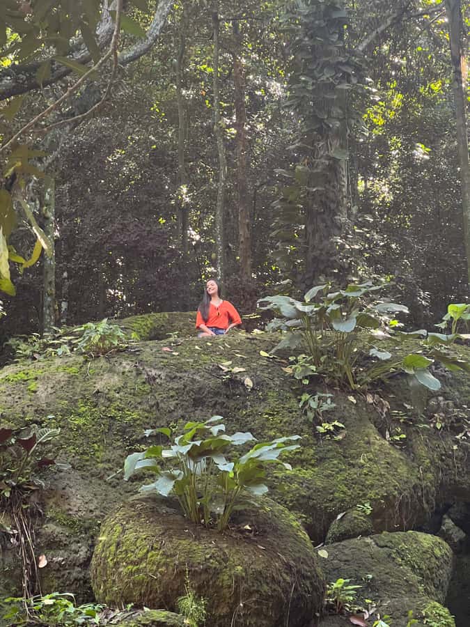 Private Tijuca Forest & Botanical Garden Guided Tour - Key Highlights You’ll Want to Know
