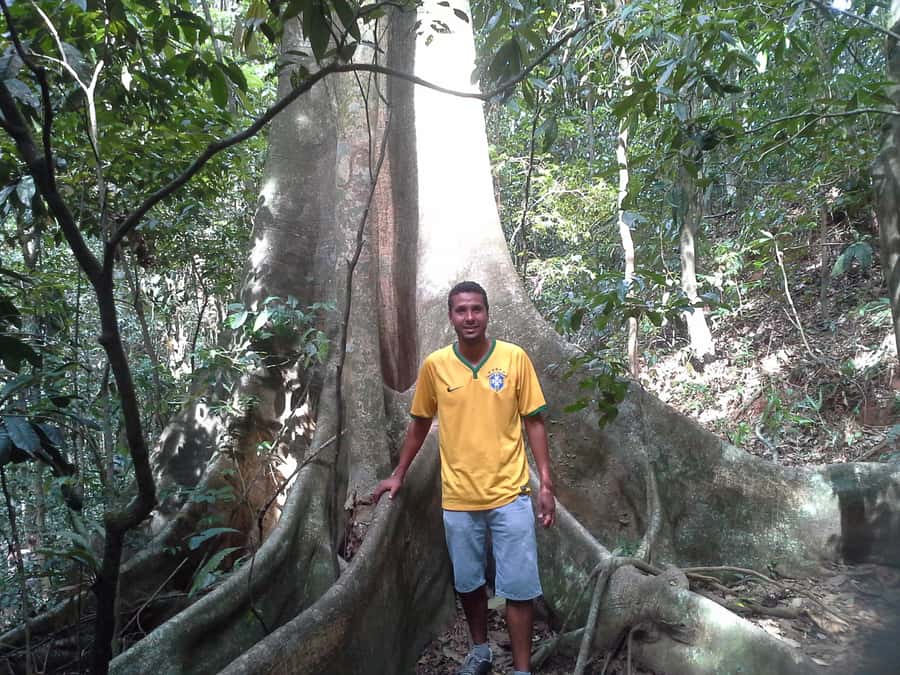 Private Tijuca Forest & Botanical Garden Guided Tour - Chinese Viewpoint at 388 Meters: Rio’s Best Intro Shot