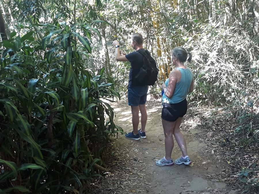 Private Tijuca Forest & Botanical Garden Guided Tour - The Guide Factor: How Rio Forest Adventures Become Personal