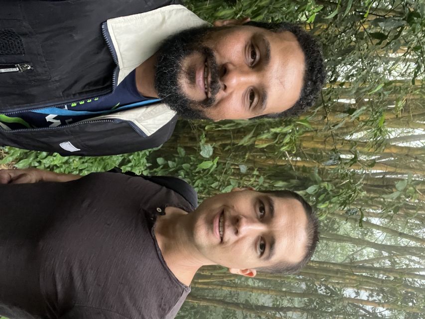 Private Tijuca Forest & Botanical Garden Guided Tour - Rio Botanical Garden Finish: Sensory Garden, Orchids, and Bromeliads