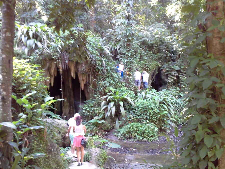 Private Tijuca Forest & Botanical Garden Guided Tour - What to Bring for Forest and Garden Weather