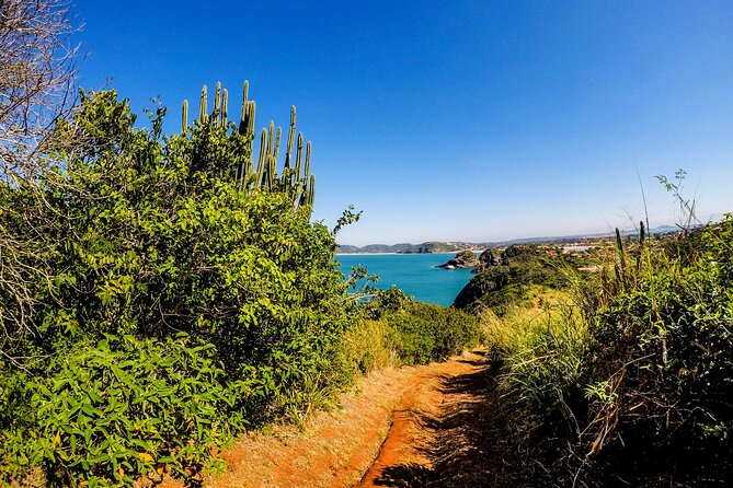 Private Walk through the Natural Pools in Búzios - Why the Natural Pools walk in Búzios is worth your morning
