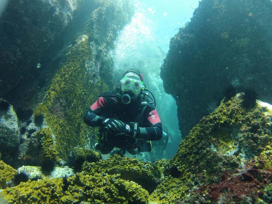Rio: Best Dive Experience All Inclusive Scuba Diving Package - Key highlights that matter on this Rio to Arraial do Cabo day