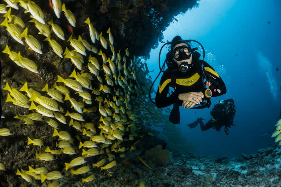 Rio: Best Dive Experience All Inclusive Scuba Diving Package - From Rio Pickup to Arraial do Cabo, the road trip that sets the tone