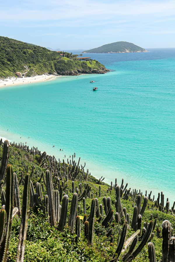 Rio: Best Dive Experience All Inclusive Scuba Diving Package - Weather and strong wind, the real variable in your schedule
