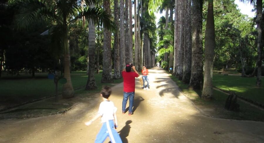 Rio: Botanical Garden, Tijuca Forest, and Parque Lage Tour - Parque Lage Mansion at the Foot of Christ the Redeemer