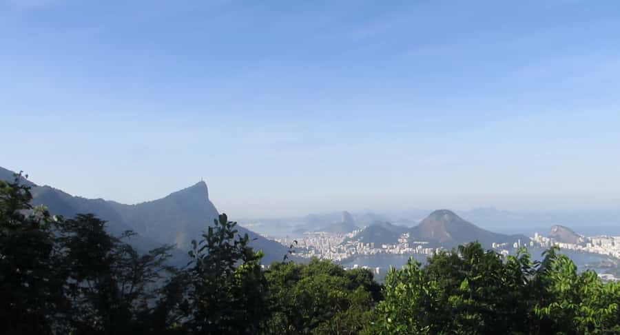 Rio: Botanical Garden, Tijuca Forest, and Parque Lage Tour - Who This Private Tour Is Best For