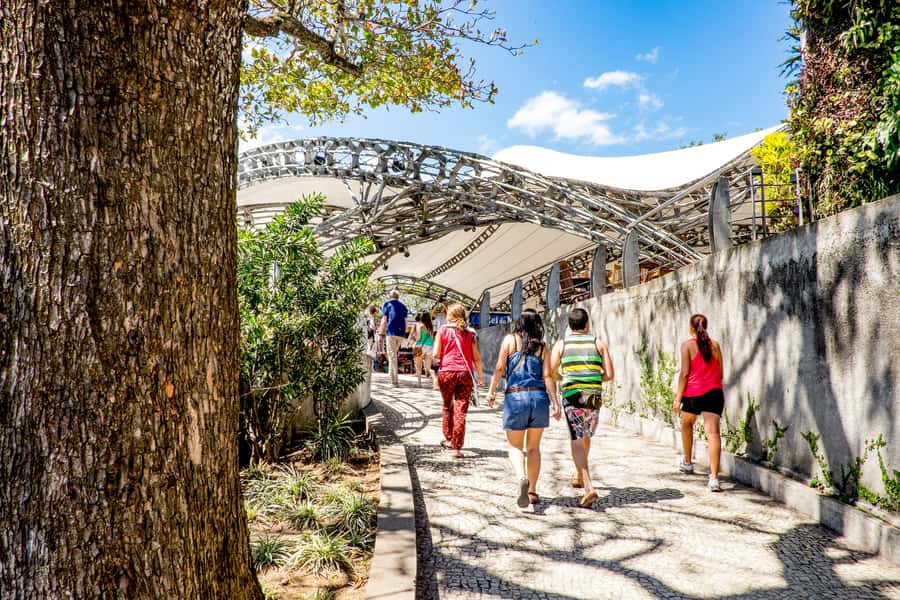 Rio: Christ the Redeemer Early Access and Sugarloaf - Key points to know before you go
