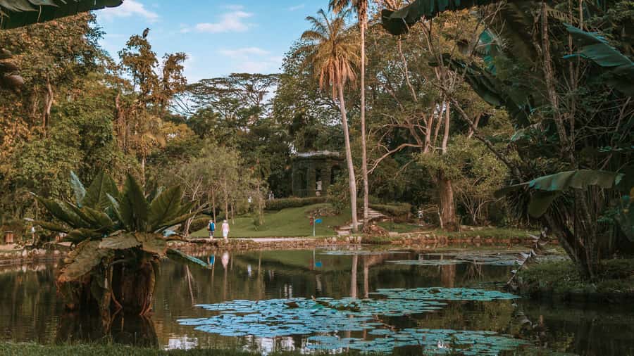 Rio de Janeiro: 4-Hour Botanical Garden & Tijuca Forest Tour - Key highlights I’d plan around