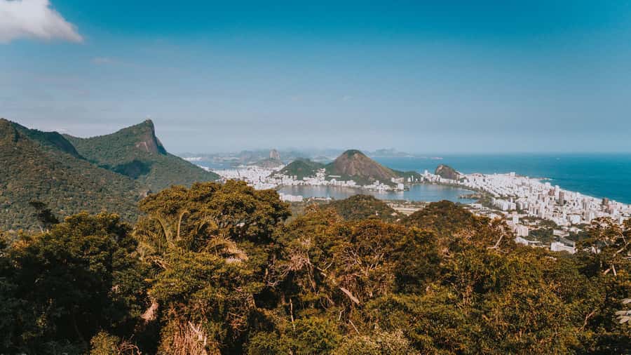 Rio de Janeiro: 4-Hour Botanical Garden & Tijuca Forest Tour - Who should book this tour, and who should skip it