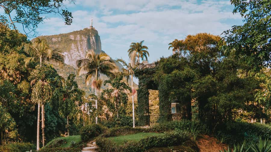 Rio de Janeiro: 4-Hour Botanical Garden & Tijuca Forest Tour - A 4-hour Rio Nature Escape From Your South Zone Hotel