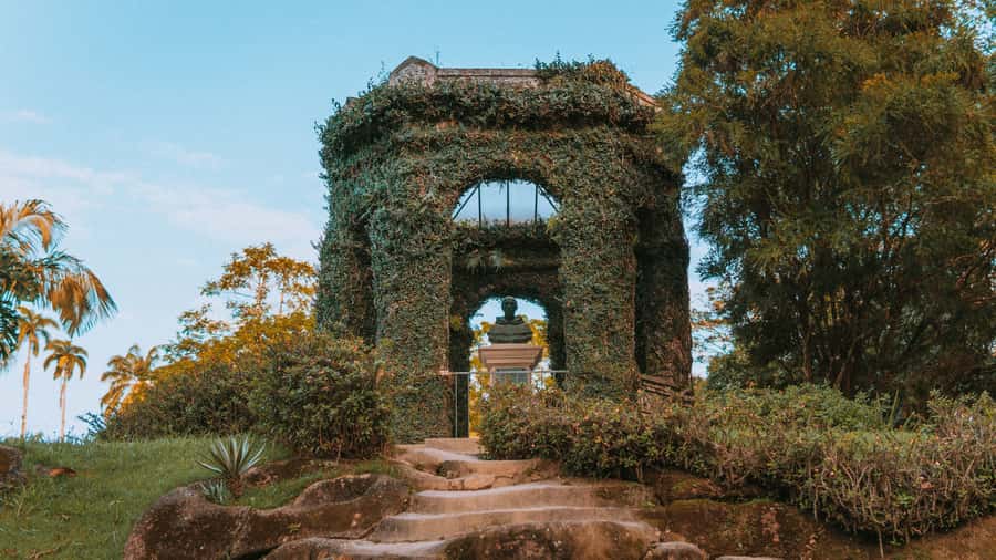 Rio de Janeiro: 4-Hour Botanical Garden & Tijuca Forest Tour - Sensory Garden, Brazilwood, Turtle Lake, and floating giant water lilies