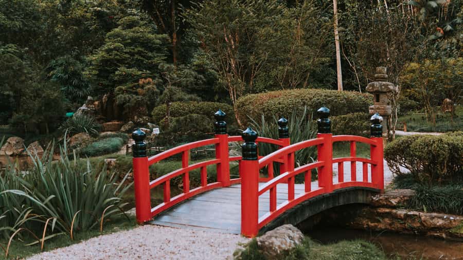 Rio de Janeiro: 4-Hour Botanical Garden & Tijuca Forest Tour - Price and value check for a $51, 4-hour tour
