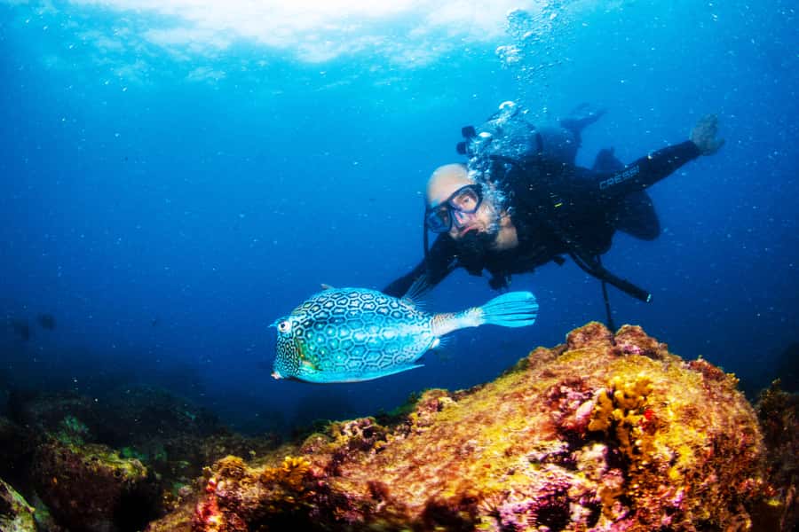 Rio de Janeiro: Arraial do Cabo Scuba Diving Day Trip - Key things to know before you go