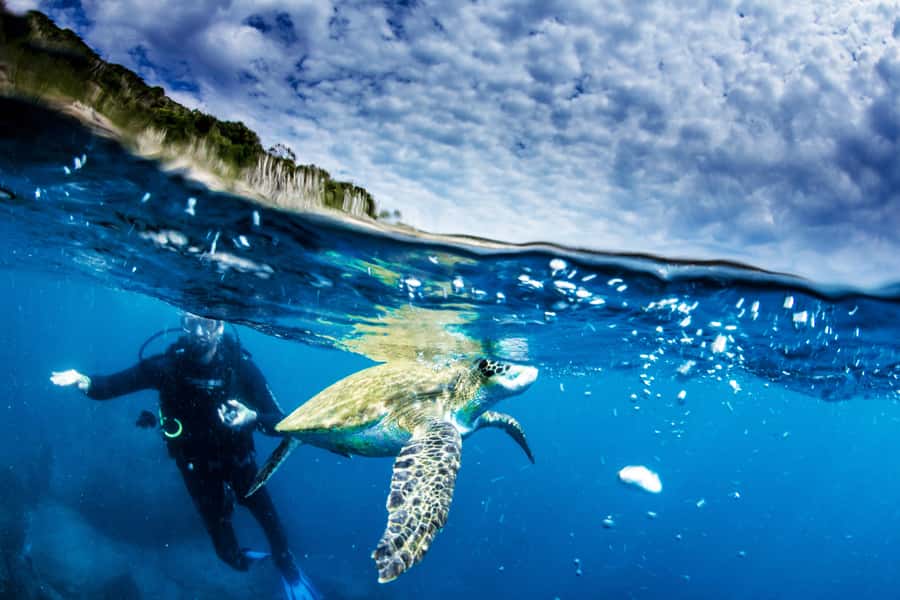 Rio de Janeiro: Arraial do Cabo Scuba Diving Day Trip - Lakes Region Break, Lunch Timing, and Food Reality